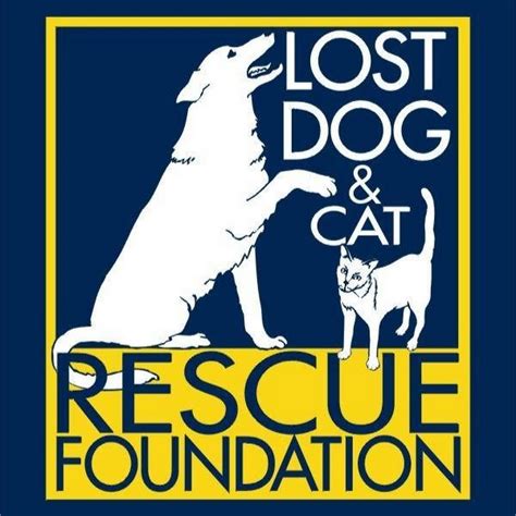 Lost dog and cat rescue - The Lost Dog & Cat Rescue Foundation (LDCRF) was incorporated as a 501c3 not-for-profit organization in 2001 when Pam McAlwee and Ross Underwood, a couple of Arlington, VA restaurant owners, decided to formalize their efforts to save homeless pets in their community. 